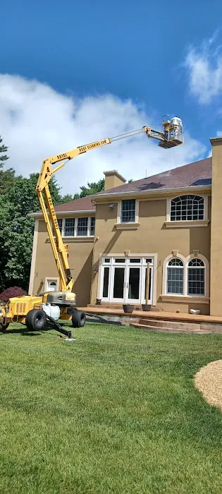 Royal Roof Cleaning Picture 9