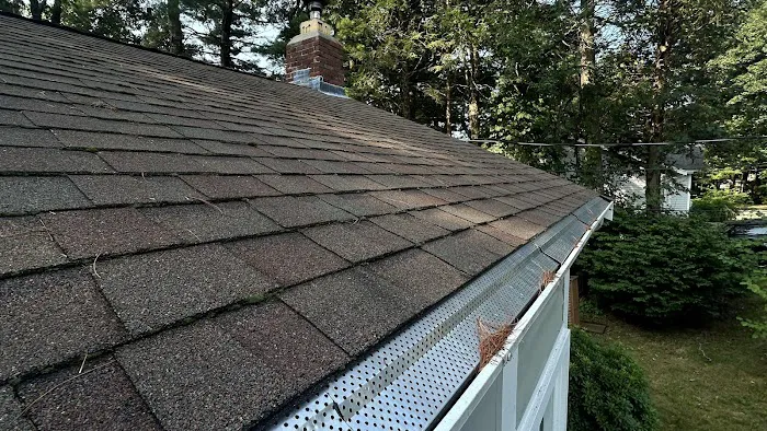 Boston Roof Repair Specialist Picture 3