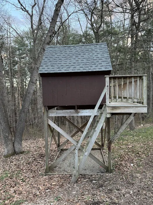 Action Roofing Picture 9