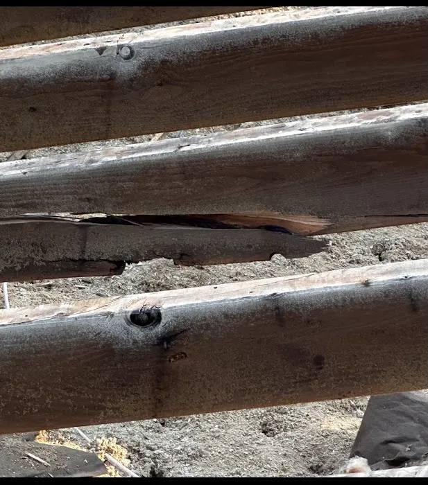 Action Roofing Picture 6