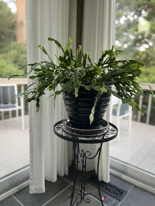 John F. O'Brien Inc. Picture 5