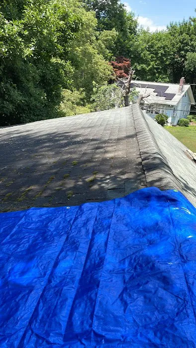 Go Pro Roofing & Construction Picture 6