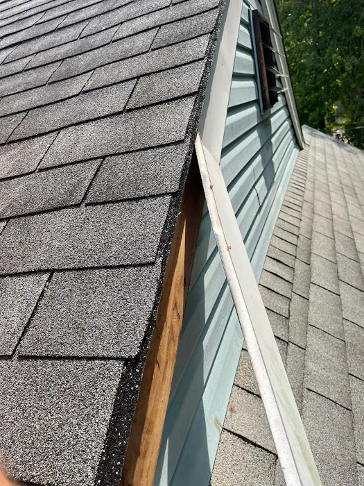 Go Pro Roofing & Construction Picture 7