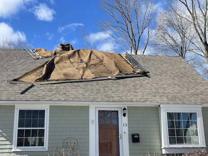 Professional Roofing Company Picture 2