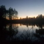 Bobola Siding & Roofing