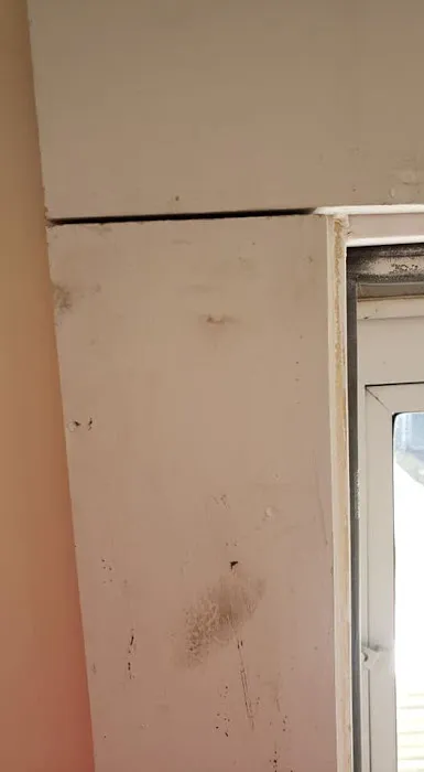 Granite State Home Improvement Picture 3