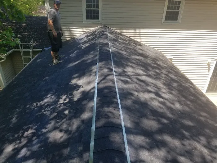 Element Roofing Picture 2