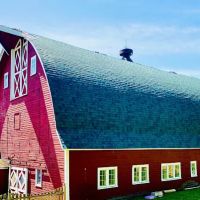 G2P Restoration Inc / G2P Restoration Roofing ico