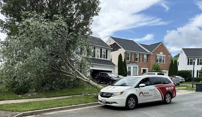 MARS Restoration Picture 5