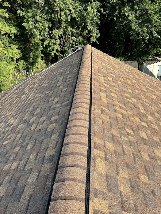 Neighborhood Restoration Picture 3