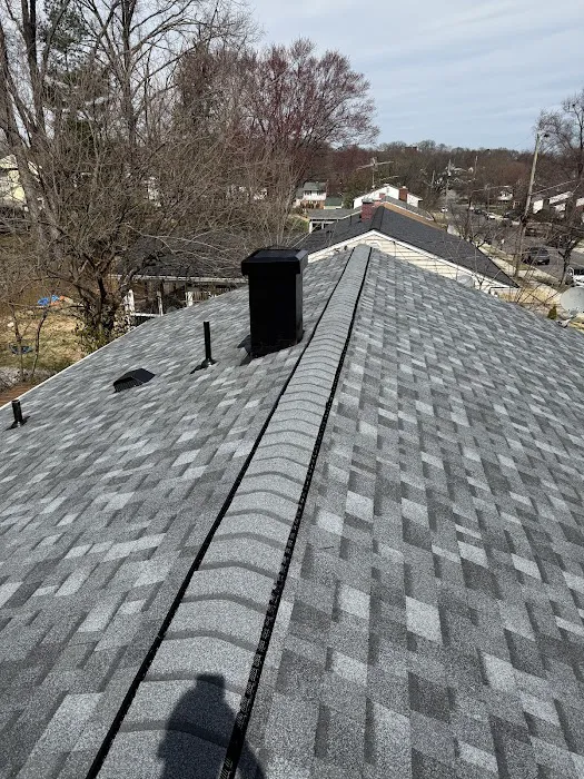 Neighborhood Restoration Picture 2