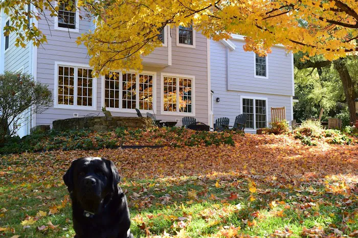 Chesapeake Roofing, Windows & Siding Inc. Picture 10