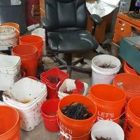 Simpson Unlimited ico