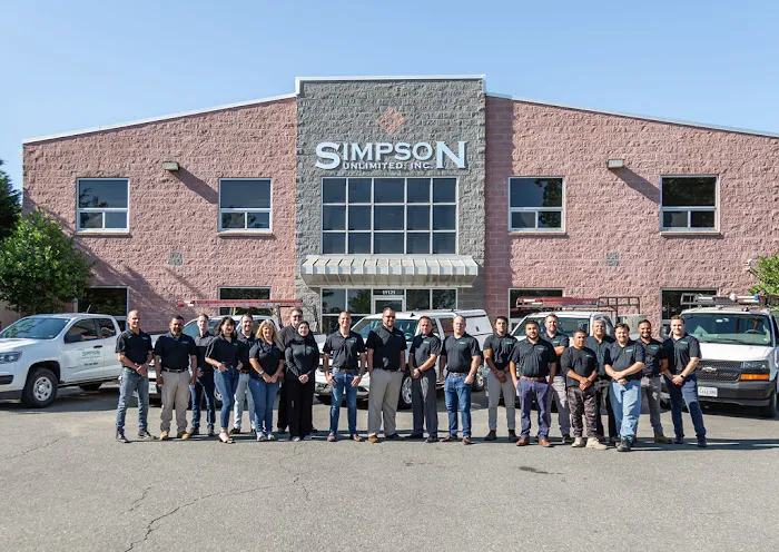 Simpson Unlimited Picture 3