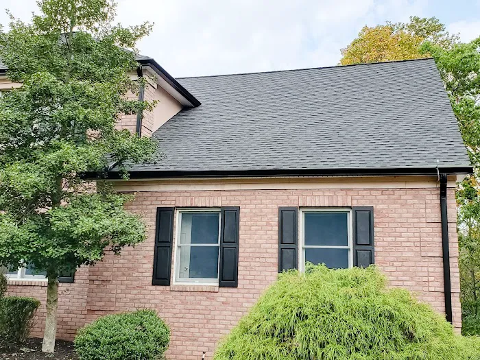 Alte Roofing Picture 10