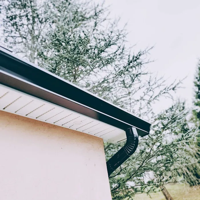 Alte Roofing Picture 2