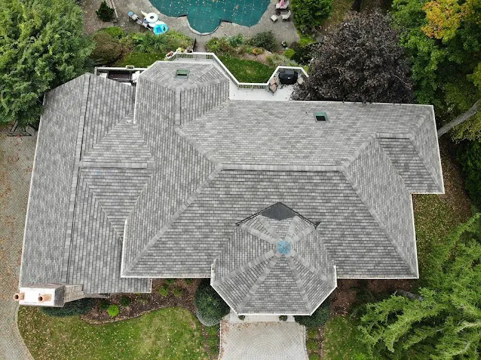 Alte Roofing Picture 4