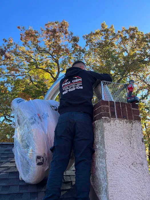 Pro Gen Construction & Roofing Picture 3