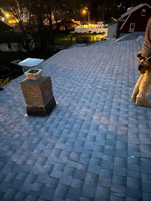 Pro Gen Construction & Roofing Picture 9