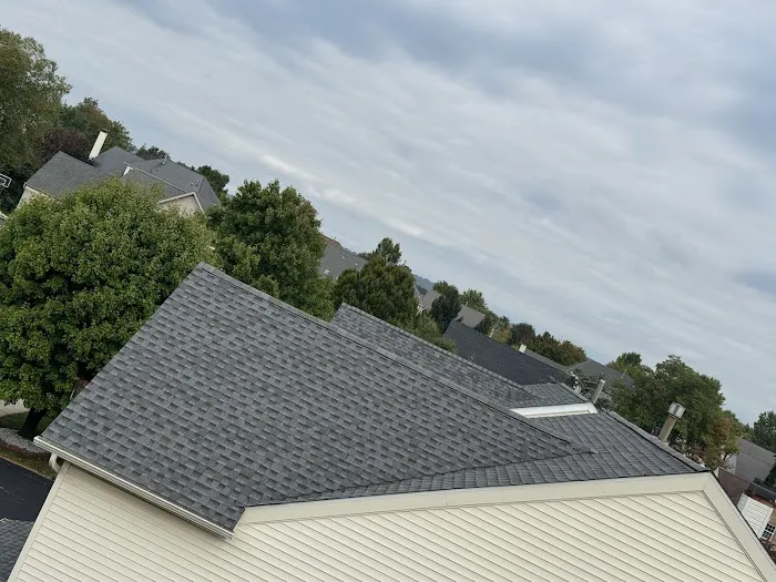 IDEAL ROOFING AND CHIMNEYS Picture 2