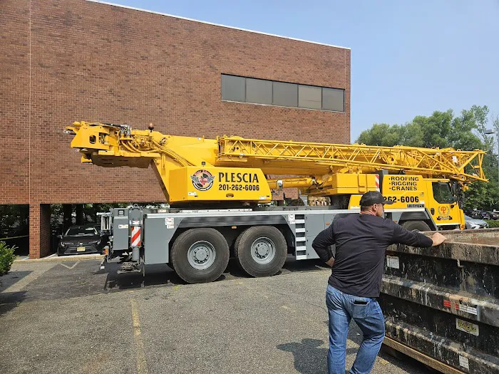 Plescia Building Maintenance Picture 4