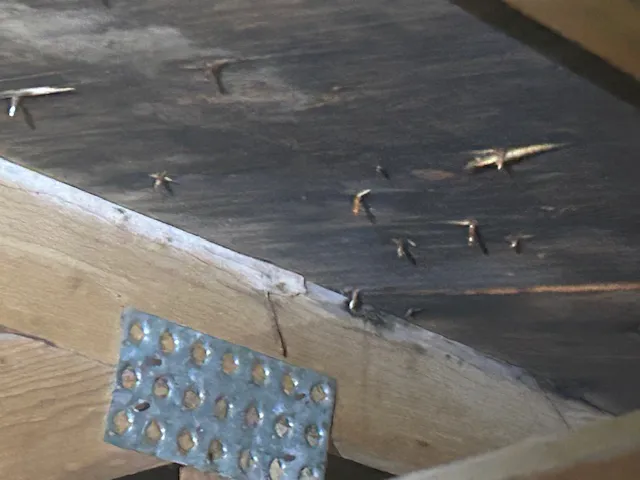 Dream Home Roofers Picture 7