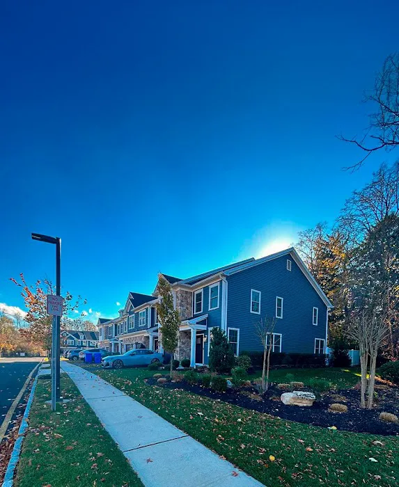 JS LEGANCE Picture 6