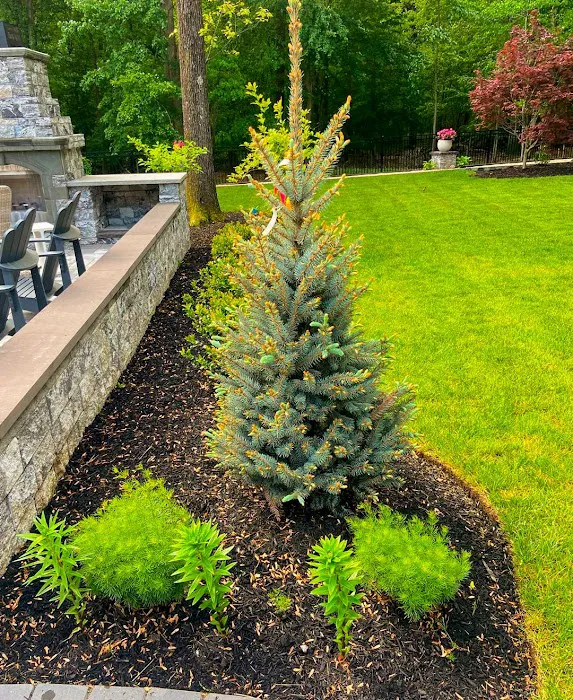 JS LEGANCE Picture 5