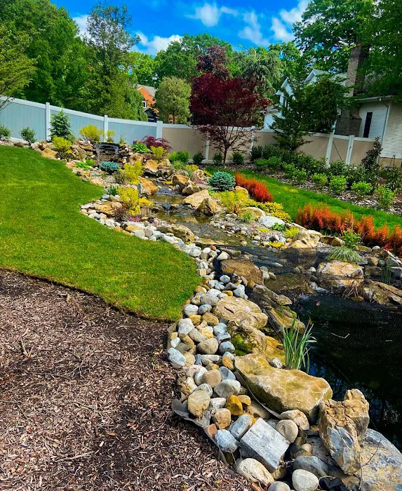 JS LEGANCE Picture 2