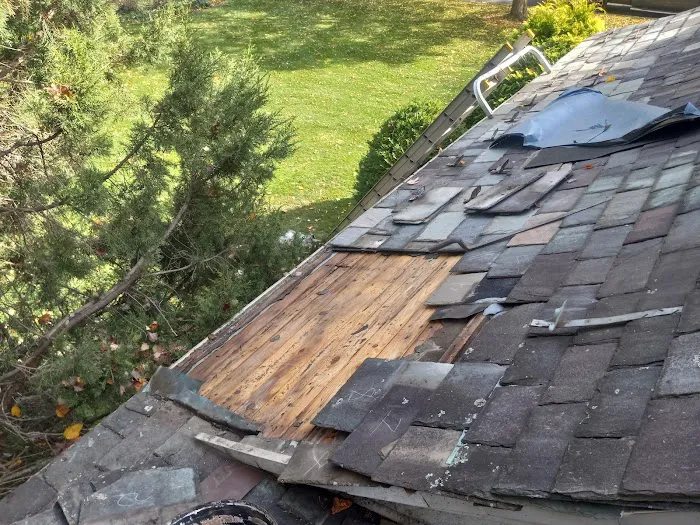 JCX Slate & Metal Roofing Picture 2