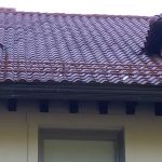 Peter W. Traub Roofing & Carpentry LLC