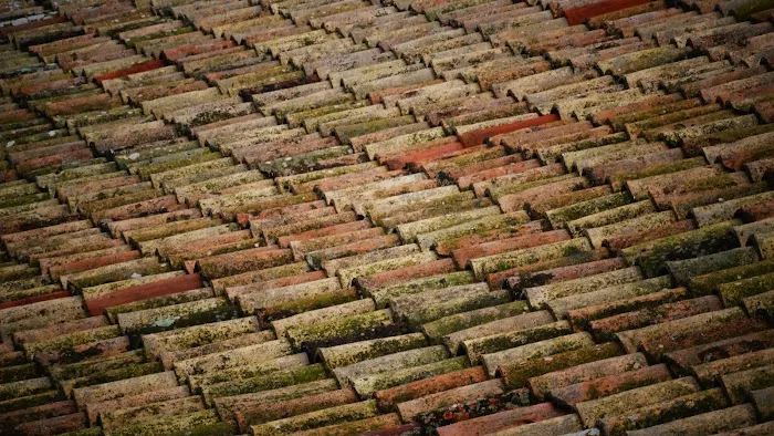 M.F. Roofing Repair Co. Picture 2