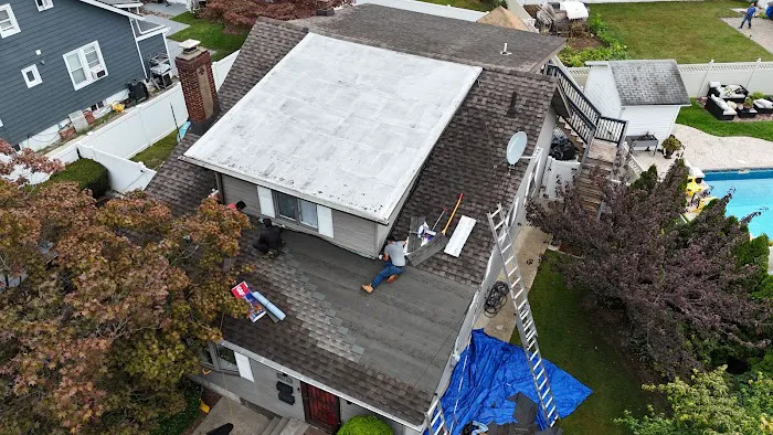 Roof Shark Picture 5