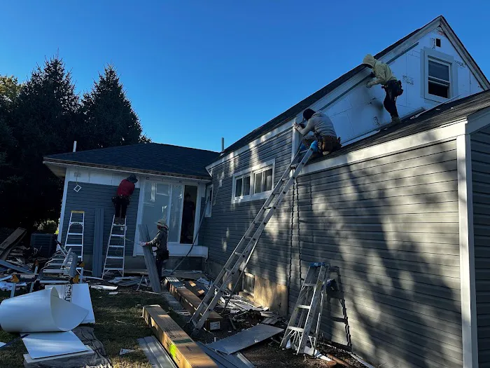 Roof Shark Picture 7