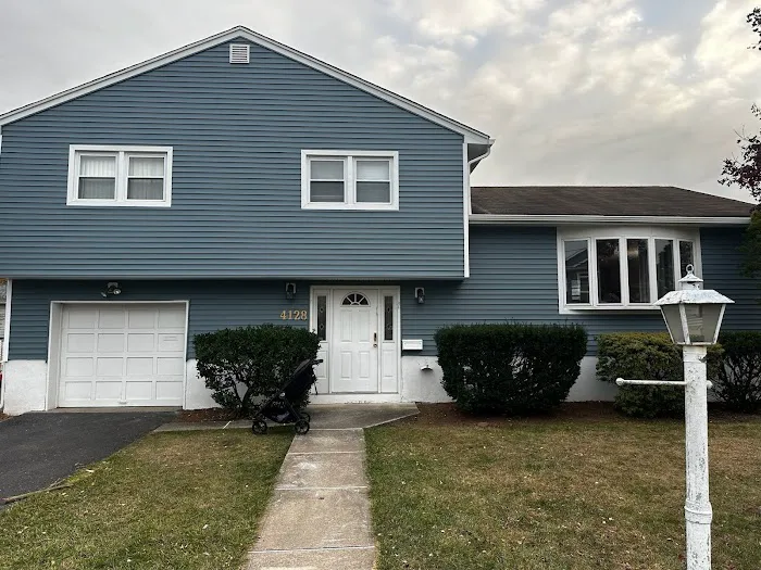 Roof Shark Picture 2