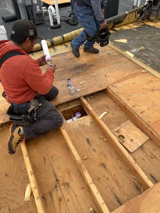 Roof Shark Picture 3