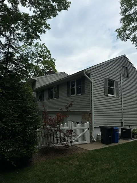 Roof Shark Picture 6