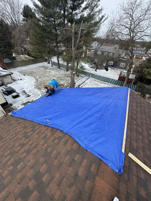 Roof Shark Picture 8