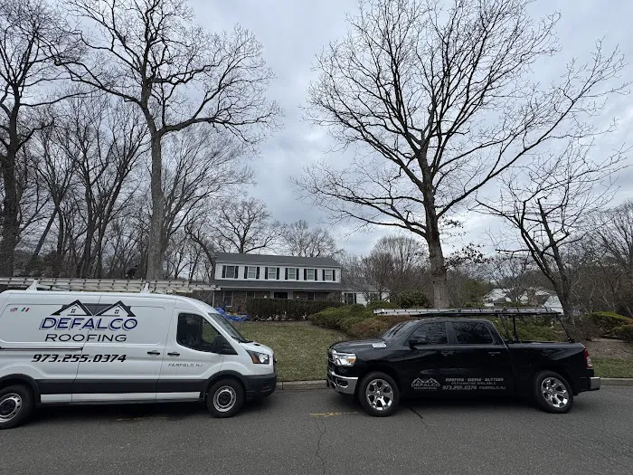 DeFalco Roofing Picture 6