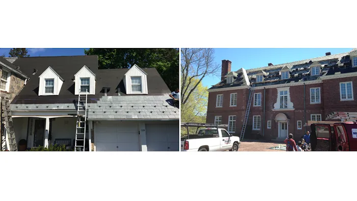 Paulie the Roofer Picture 3