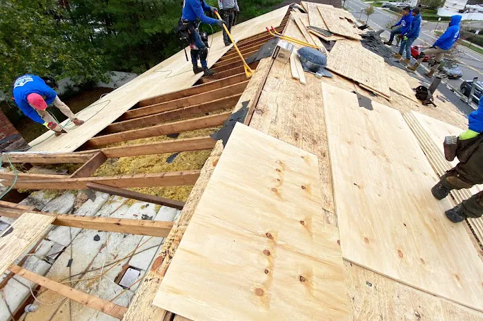 All Island Renovators Picture 7