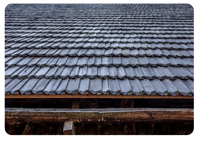Carter & Sons Roofing Picture 1