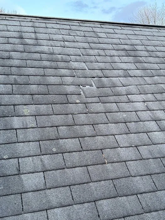 Nashionall Evolution LLC Picture 5