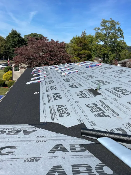 Anthony Guiliano llc. Picture 9