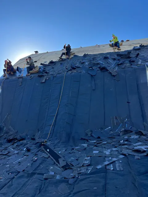 Anthony Guiliano llc. Picture 3