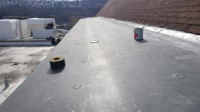 GenSun Roofing Picture 4