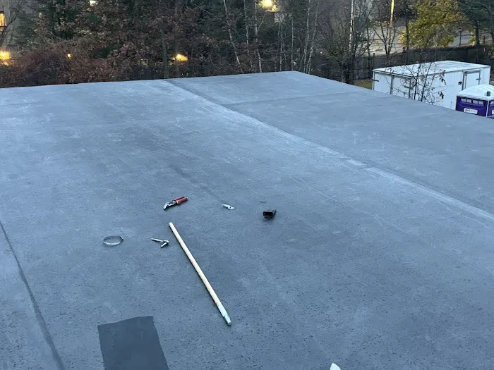 Roofs Etc. Picture 1