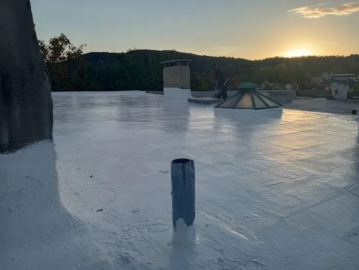 silicone roofing specialists Picture 3