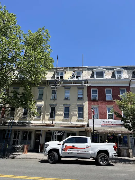 silicone roofing specialists Picture 10