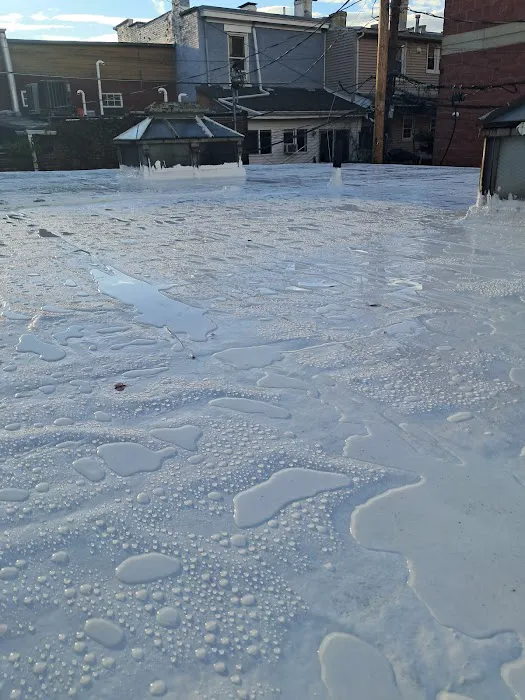 silicone roofing specialists Picture 7